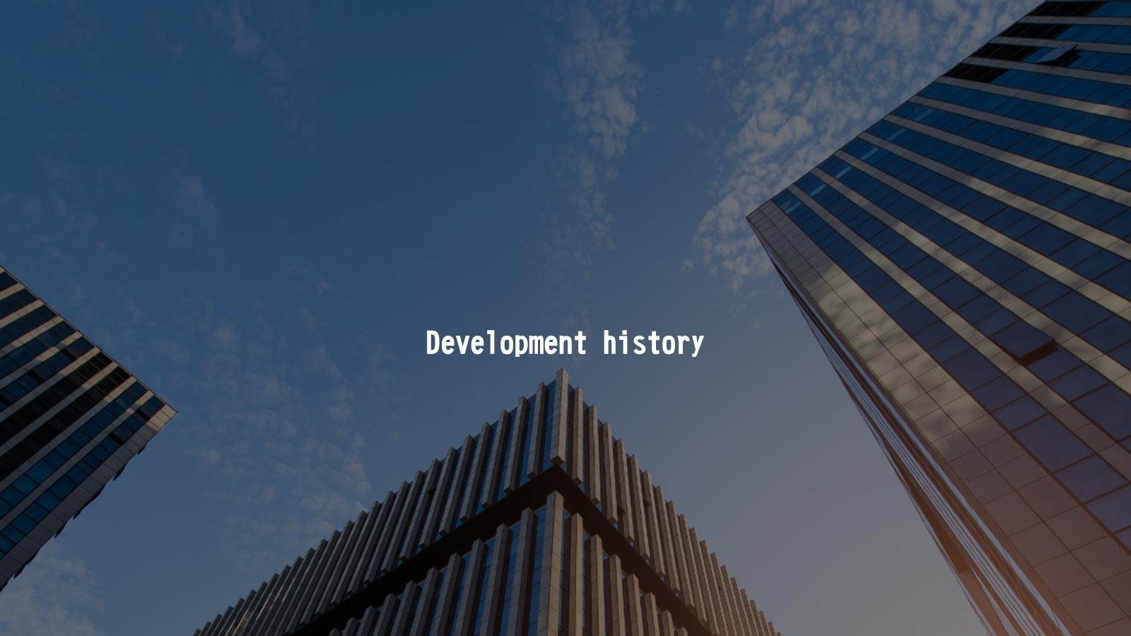 发展历程